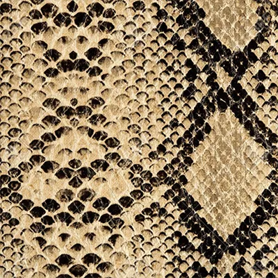 A Guide To Prints | the concept wardrobe